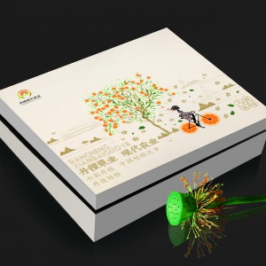 四川丹橙现代果业有限公司委托55世纪官网官网和水果包装礼盒